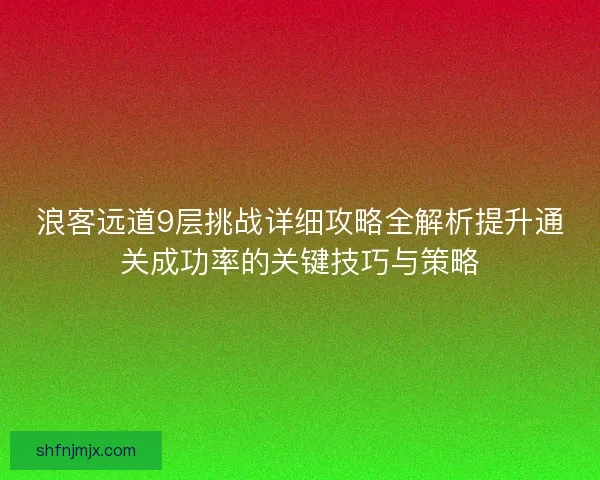 浪客远道9层挑战详细攻略全解析提升通关成功率的关键技巧与策略