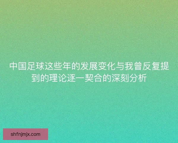 中国足球这些年的发展变化与我曾反复提到的理论逐一契合的深刻分析
