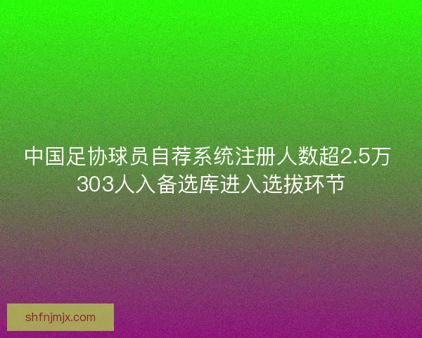 中国足协球员自荐系统注册人数超2.5万 303人入备选库进入选拔环节