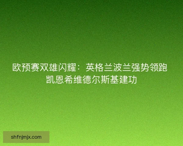 欧预赛双雄闪耀：英格兰波兰强势领跑 凯恩希维德尔斯基建功