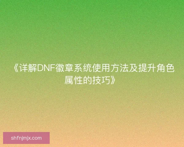 《详解DNF徽章系统使用方法及提升角色属性的技巧》