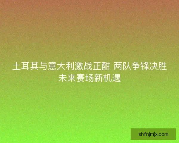 土耳其与意大利激战正酣 两队争锋决胜未来赛场新机遇